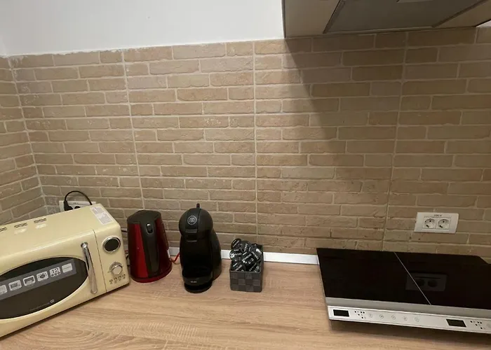 Rozelor Apartment Timisoara