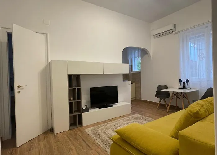 Rozelor 蒂米什瓦拉