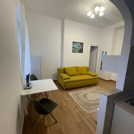 Apartamento Rozelor Timişoara